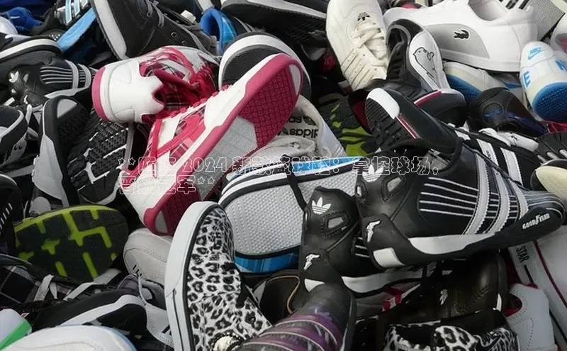 意昂2登录赛富乐斯**匹克 2024 新款篮球鞋：掌控球场，
晋级冠军**