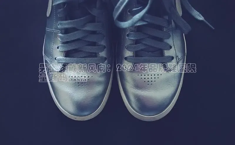 意昂2登录百度网盘男士穿戴新风向：2024年品牌鞋履限
量断码盘点