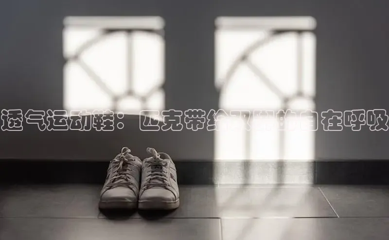 意昂2开户百度学术透气运动鞋：匹克带给双脚的自在呼吸