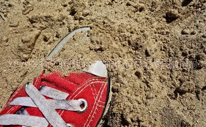 意昂2登录入口华扬联众2024年不可错过的百丽银色鞋子潮流指南