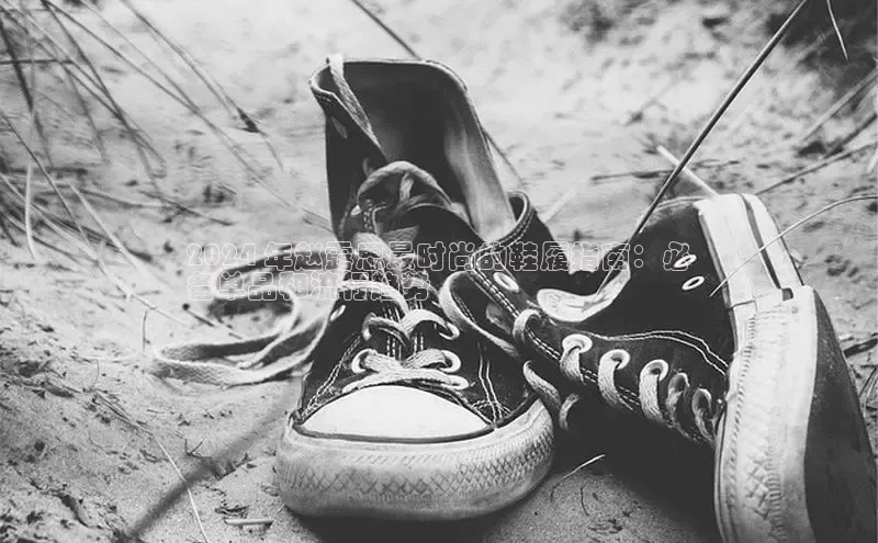 意昂2招商挪威主权基金2024 年赵露思最时尚的鞋履指南：必
备单品和流行趋势