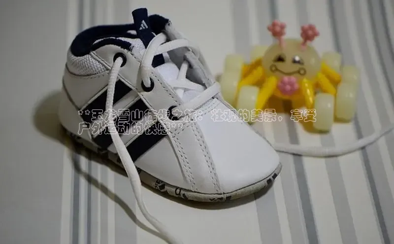 意昂2体育官方网站百度健康**玉龙雪山徒步之旅：壮观的美景，享受
户外运动的快感**