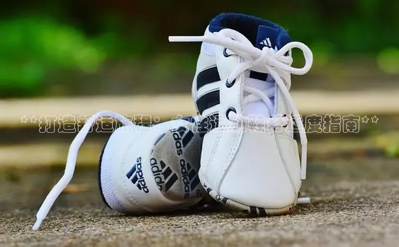 意昂2体育在线平台登录百度手机助手**打造舒适旅程：女性运动鞋舒适度指南**