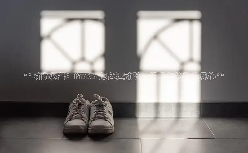 意昂2账号登录入口百度翻译**时尚必备：Prada 灰色运动鞋，提升你的街头风格**