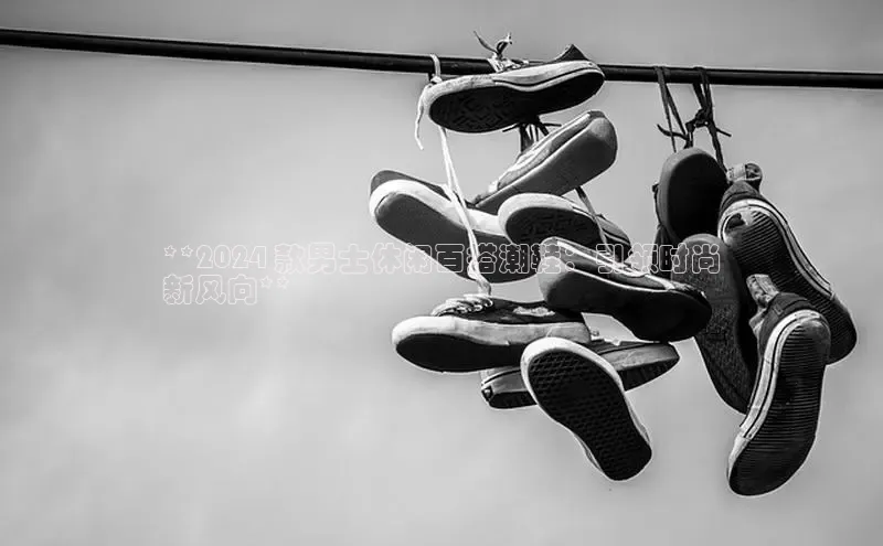 意昂2注册轻美电器**2024 款男士休闲百搭潮鞋：引领时尚
新风向**