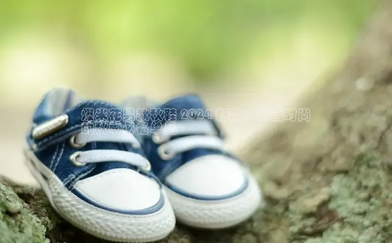 意昂2招商小红书爆米花男款秋鞋 2024 新款：舒适时尚
的秋季必备单品