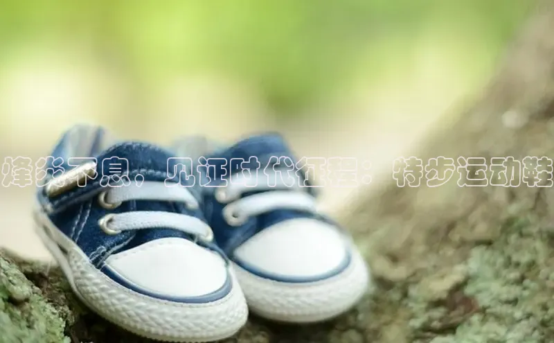 意昂2账号登录入口百度翻译烽炎不息，见证时代征程：特步运动鞋