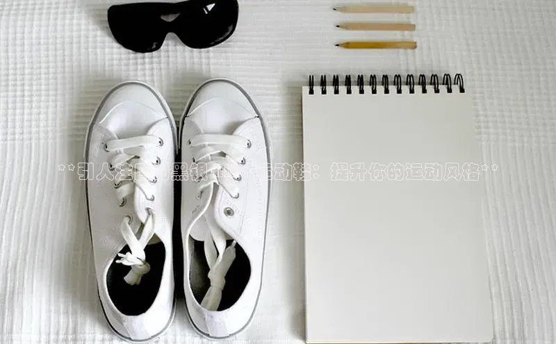 意昂2账号登录入口百度数据开放平台**引人注目的黑银 Nike 运动鞋：提升你的运动风格**