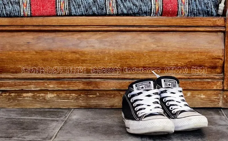 意昂2登录地址知乎运动鞋跑步更轻松：骆驼般的 Endurance（耐力）能力