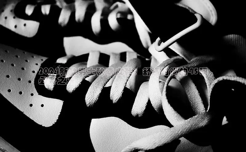 意昂2招商百度 H52024新款男士秋季皮鞋：舒适时尚的45码
必备之选