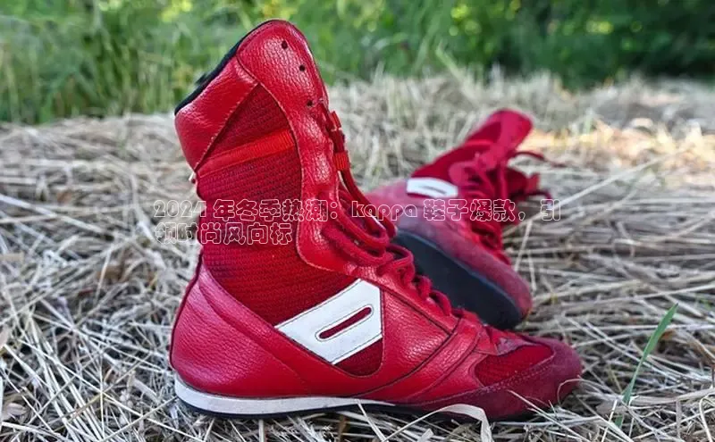 意昂2登录入口华扬联众2024 年冬季热潮：kappa 鞋子爆款，引
领时尚风向标