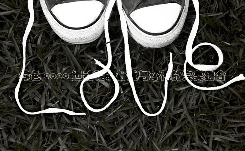 意昂2代理中文在线绿色 ecco 运动鞋：舒适与环保的完美结合