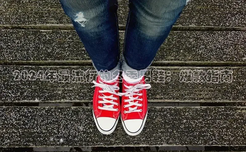 意昂2登录百度智能门户2024年最流行的冬季男鞋：爆款指南