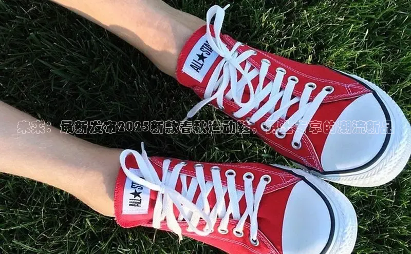 未来：最新发布2025新款春秋运动鞋，男士专享的潮流新品